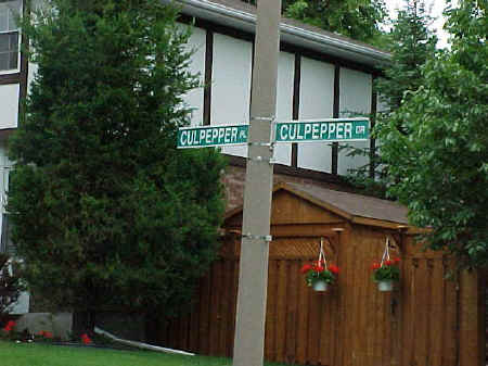 Photo of Culpepper Drive and Place in Waterlo, Ontario