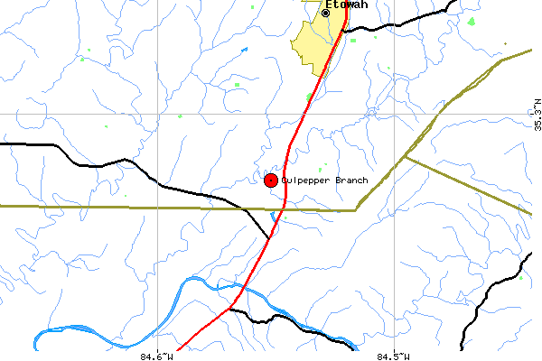 Local Map for Culpepper Branch, McMinn Co, TN