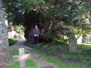 Warren Culpepper and Ancient All Saints Yew, All Saints Church, Ulcombe, Kent